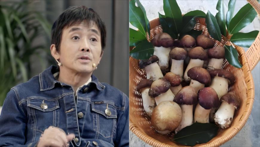 包机抵达 200名妙瓦底诈骗犯押解回国,o149香港王中王资料机玄,最新核心解答落实_潮流版V8.62
