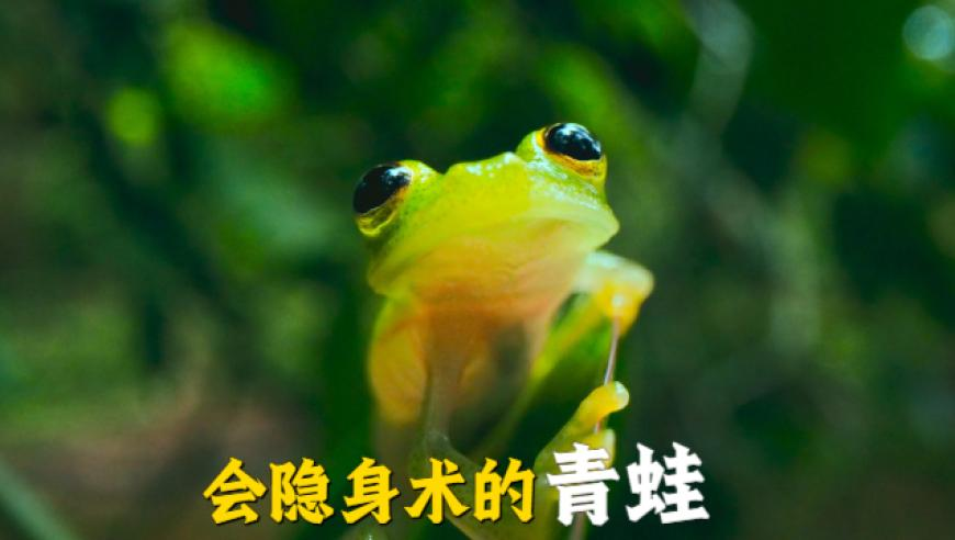 一肖中特一码期期准,一组图梳理“两高”工作报告,最新核心解答落实_静态版V14.45